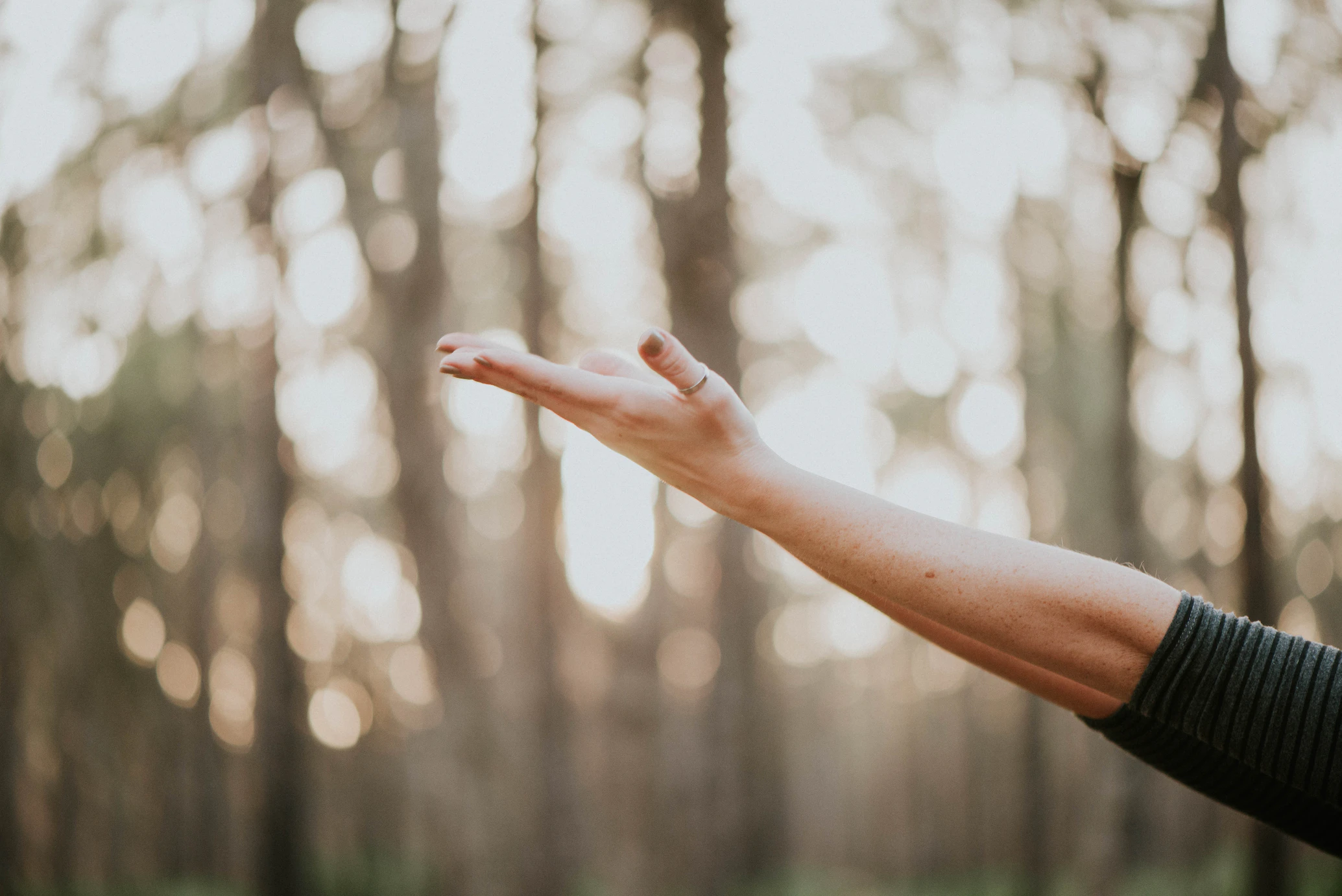 wellness hands